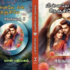 மின்னலே என் நெஞ்சிலே